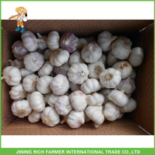 High Grade Jining Fresh Garlic